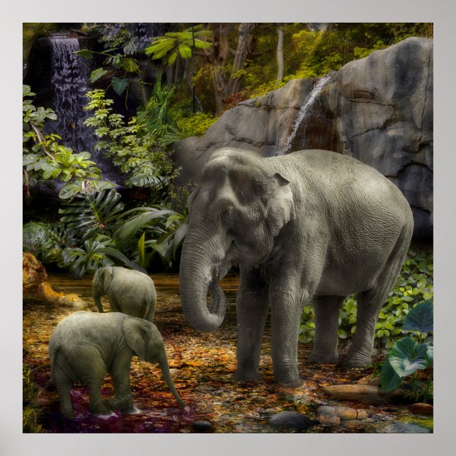 Affiche Elephant Family RAIN FOREST PARTY (Devant)