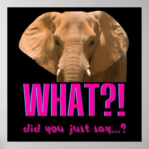 Affiche Éléphant Qu'est-ce que vous venez de dire?