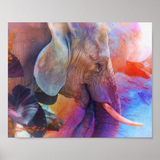 AFFICHE ÉLÉPHANT RAPPELANT LES EAUX SACRÉES (Devant)