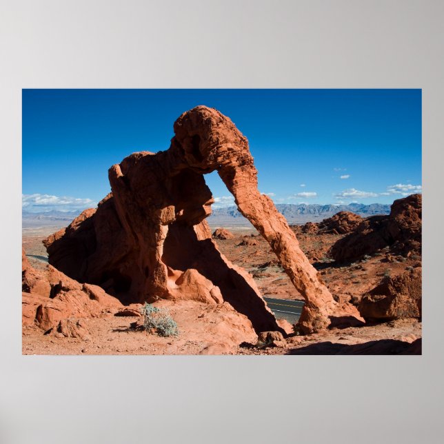 Affiche Elephant Rock (Devant)