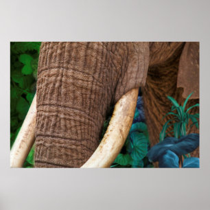 Affiche Elephant Tend Mon Jardin