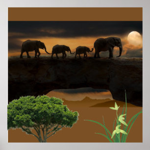 Affiche Éléphants