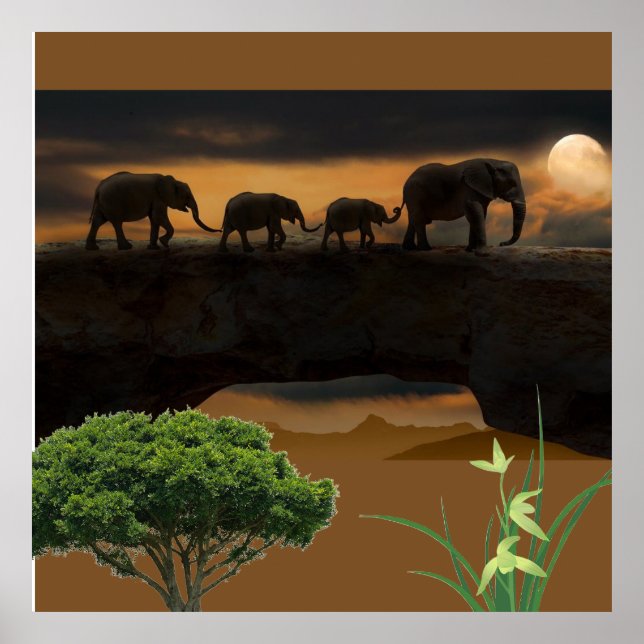 Affiche Éléphants (Devant)