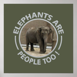 Affiche ELEPHANTS