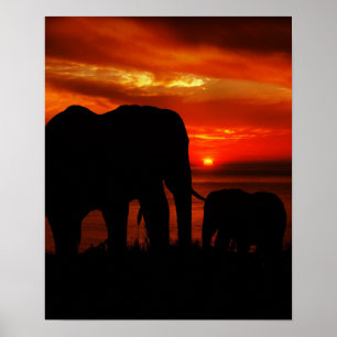 Affiche Eléphants au coucher du soleil