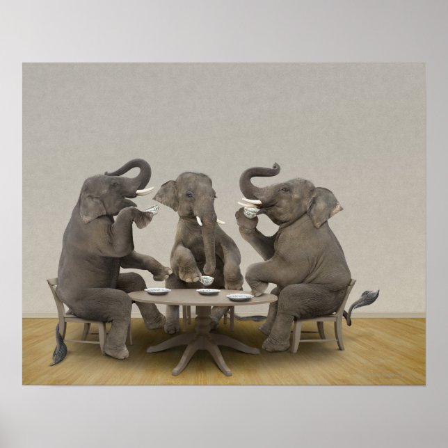 Affiche Elephants having tea party (Devant)