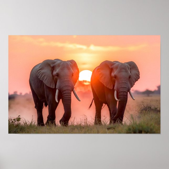 Affiche Éléphants marchant au coucher du soleil (Devant)