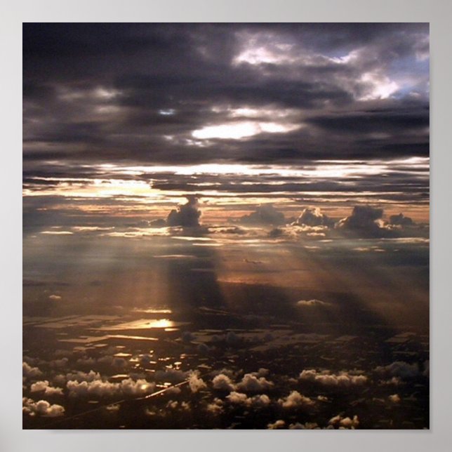 Affiche Élevée (Devant)