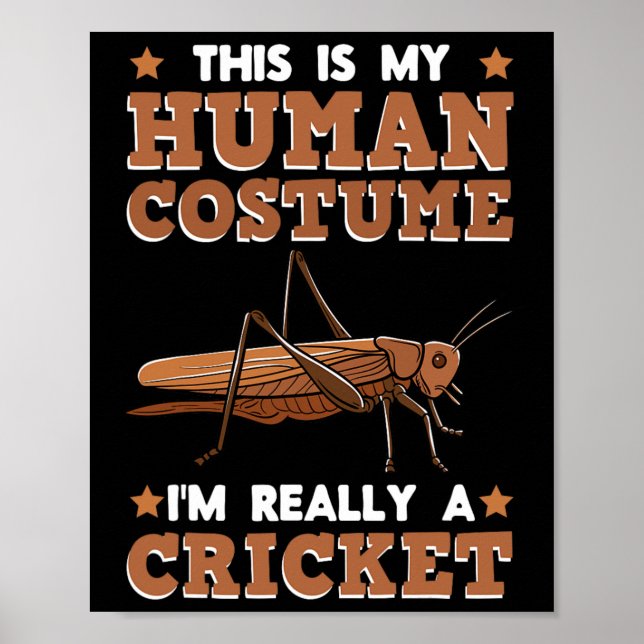 Affiche Éleveur de grillons Entomologiste passionné d'inse (Devant)