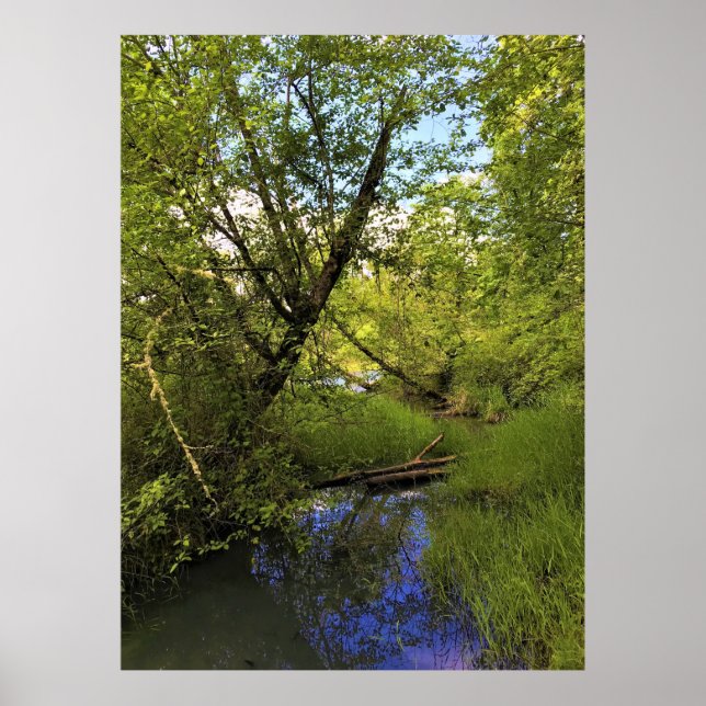 Affiche Elijah Bristow State Park, Dexter, Oregon (Devant)
