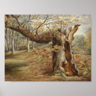 Affiche Elizabeth Murray - Arbre tournant