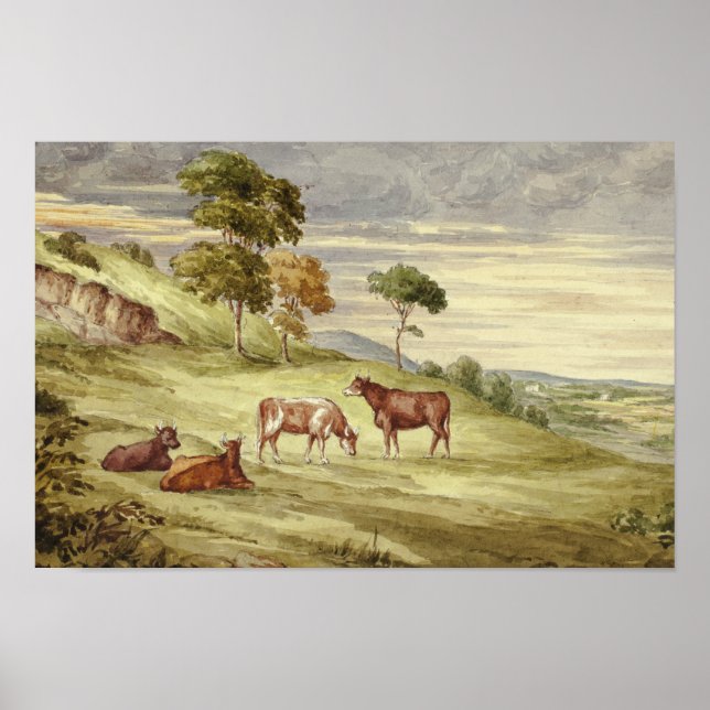 Affiche Elizabeth Murray - Deer Park, possibly Kilkenny (Devant)