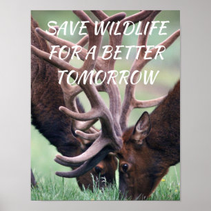 Affiche Elk, sauvez la faune pour un avenir meilleur La na