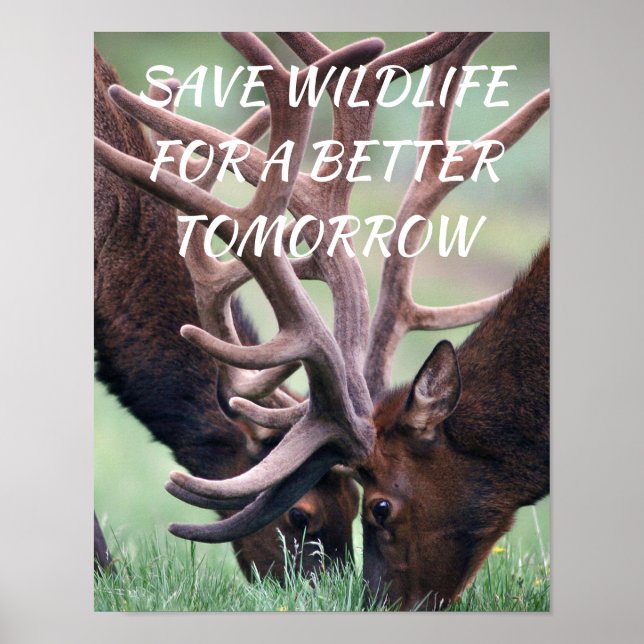 Affiche Elk, sauvez la faune pour un avenir meilleur La na (Devant)
