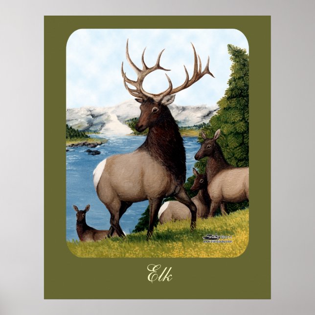 Affiche Elk Wapiti (Devant)