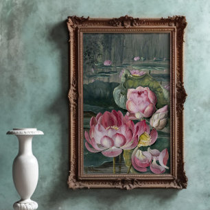Affiche Ellis Rowan Sacré Lotus Eau Lily Fleur Vintage