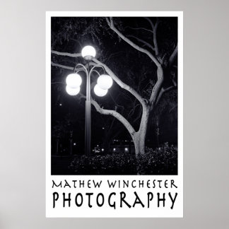 Affiche Elm et Lamppost