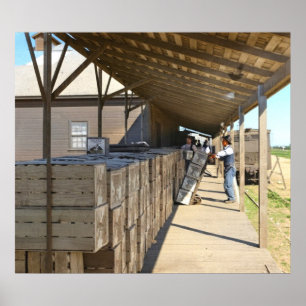 Affiche Emballage Pour Oranges D'Expédition Ontario CA 191