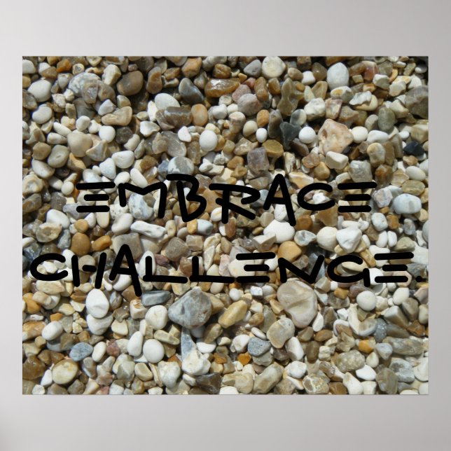 Affiche Embrace Challenge. (Devant)