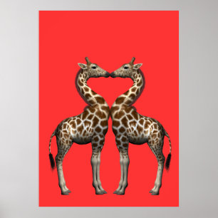 Affiche Embrasser les girafes