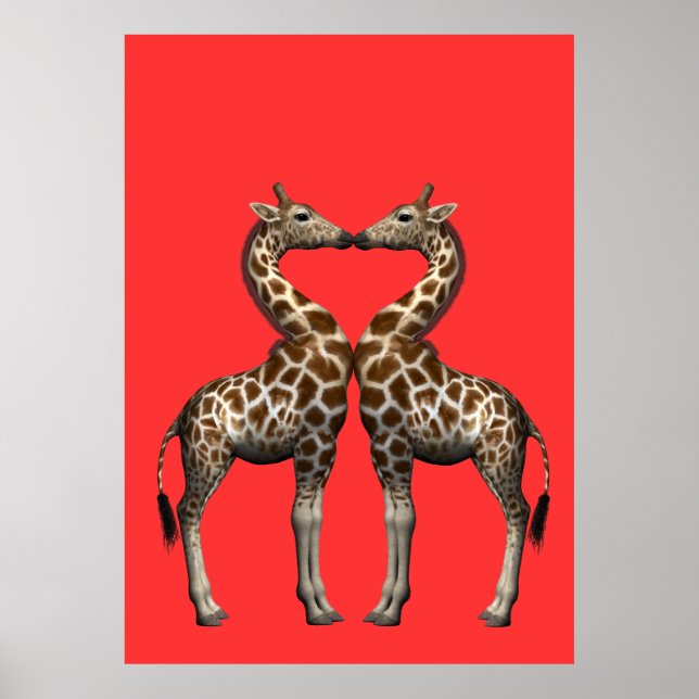 Affiche Embrasser les girafes (Devant)