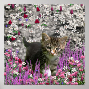 Affiche Emma en Fleurs I - Petit chat Kitty Gris