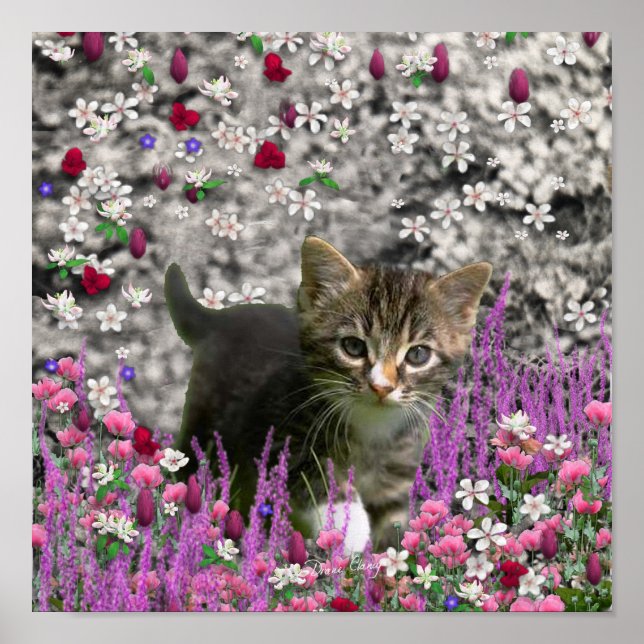 Affiche Emma en Fleurs I - Petit chat Kitty Gris (Devant)