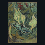 Affiche Empereur ou grand paon Moth Van Gogh Art<br><div class="desc">Great Peacock Moth, Vincent van Gogh, Saint-Rémy, mai 1889. Huile sur toile, 33, 5 x 24, 5 cm. Amsterdam, Musée Van Gogh. F 610, JH 1702 Vincent Willem van Gogh (30 mars 1853 - 29 juillet 1890) était un artiste postimpressionniste néerlandais. Certaines de ses peintures sont maintenant parmi les oeuvres...</div>