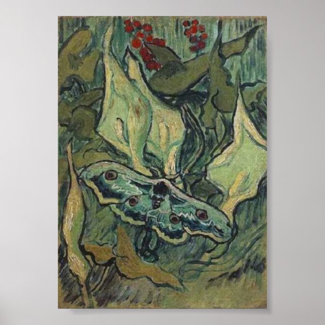 Affiche Empereur ou grand paon Moth Van Gogh Art (Devant)