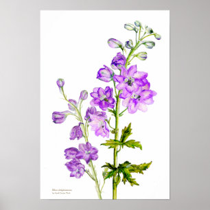 Affiche Empreinte d'affiche d'art botanique violet delphin