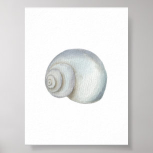 Affiche Empreinte de coquillage