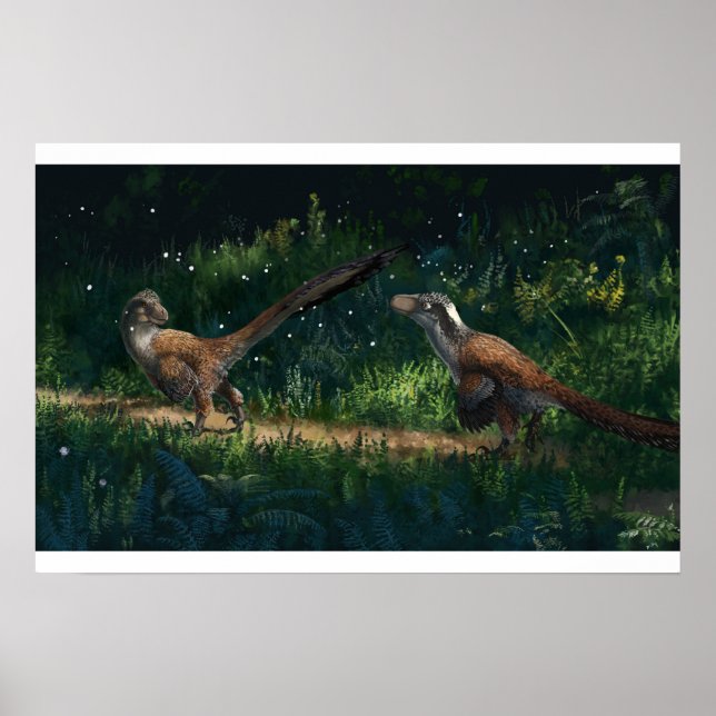 Affiche Empreinte de paire de Deinonychus (Devant)