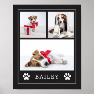 Affiche Empreinte de patte   Multi Photo Animal de compagn