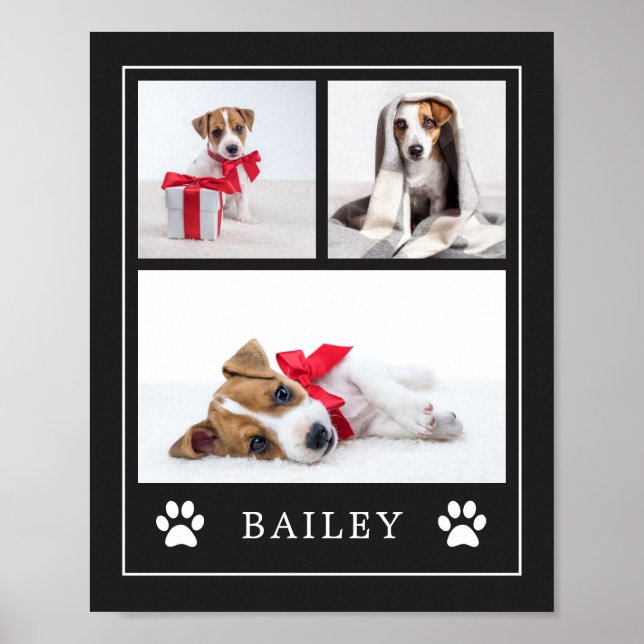 Affiche Empreinte de patte | Multi Photo Animal de compagn (Devant)