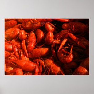 Affiche Empreinte de poisson
