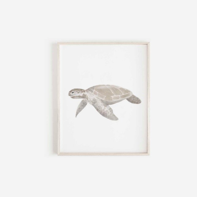 Affiche Empreinte de tortues d'aquarelle (Créateur téléchargé)