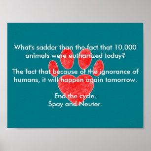 Affiche Empreinte Spy & Neuter