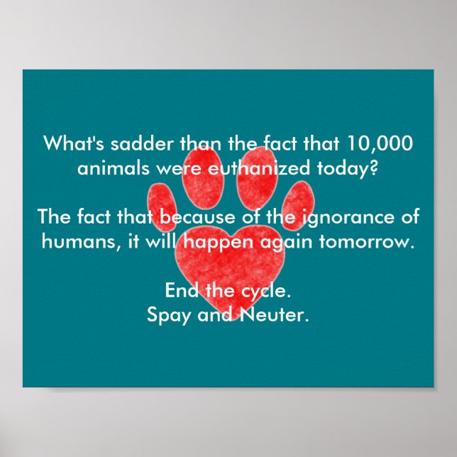 Affiche Empreinte Spy & Neuter (Devant)