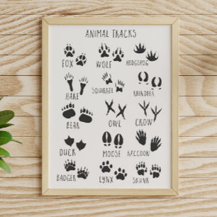 Affiche Empreintes d'animaux