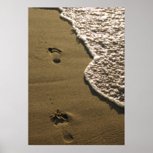 Affiche Empreintes de pas dans le sable