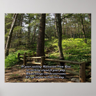 Affiche Empreintes naturelles