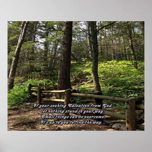 Affiche Empreintes naturelles (Devant)