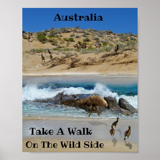 Affiche Emu Island Australie, (Devant)