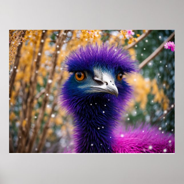 Affiche Emu pourpre dans la neige (Devant)