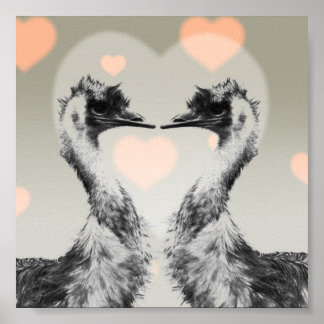 Affiche Emus amoureux