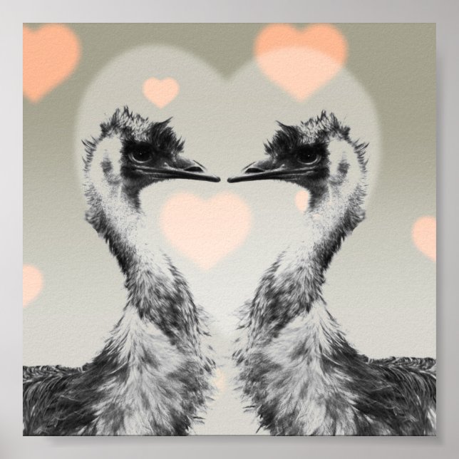 Affiche Emus amoureux (Devant)