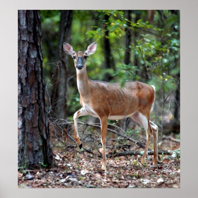 Affiche En alerte (Devant)