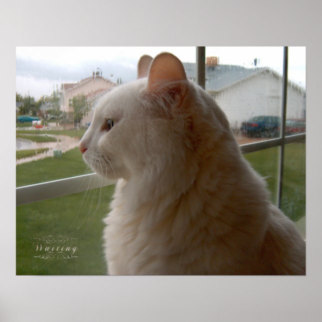 Affiche En Attendant Mon Humain (Devant)