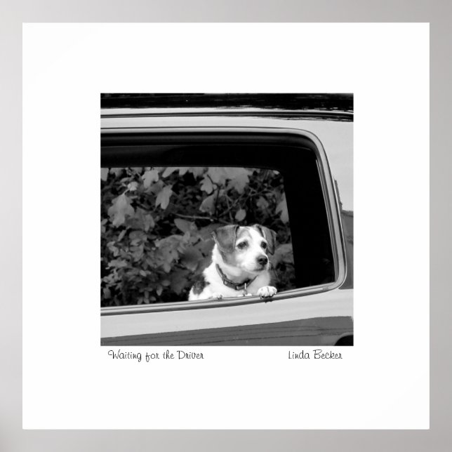 Affiche En attente de la photo Driver par Linda Becker (Devant)