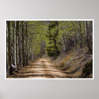 Affiche En bas de la route